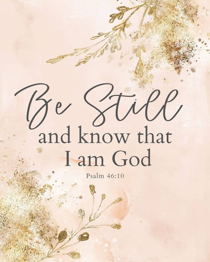 My beloved Saints, Good morning.  Have a lovely day.🕊️🕊️🕊️