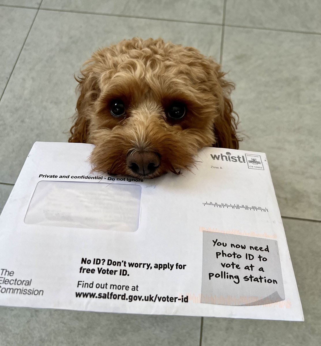 Meet Jasper. He knows that elections are how we shape tomorrow. He’s reminding his owner he needs photo ID when he votes. If you don’t have any, apply for a free voter authority certificate. Make your mark & make Jasper wag his tail with pride. More info on our website.