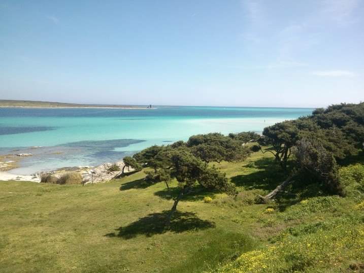 Senza le guerre il mondo potrebbe essere così, come a Stintino. 
Bello vero?
#Sardegna #Israele #Iran #terzaguerramondiale