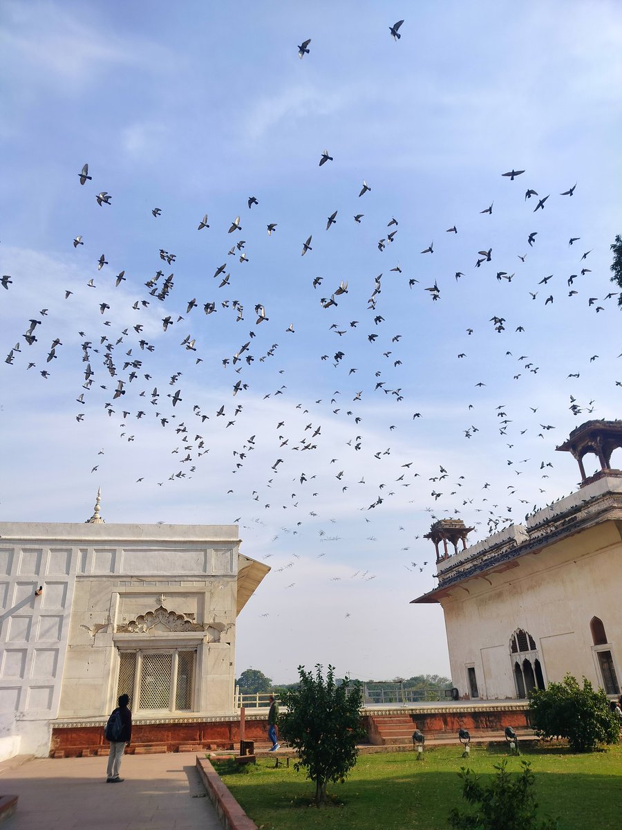 RehanBatt's tweet photo. The majestic Red Fort, a symbol of Mughal grandeur in Delhi. https://t.co/iLKwZnNWpB