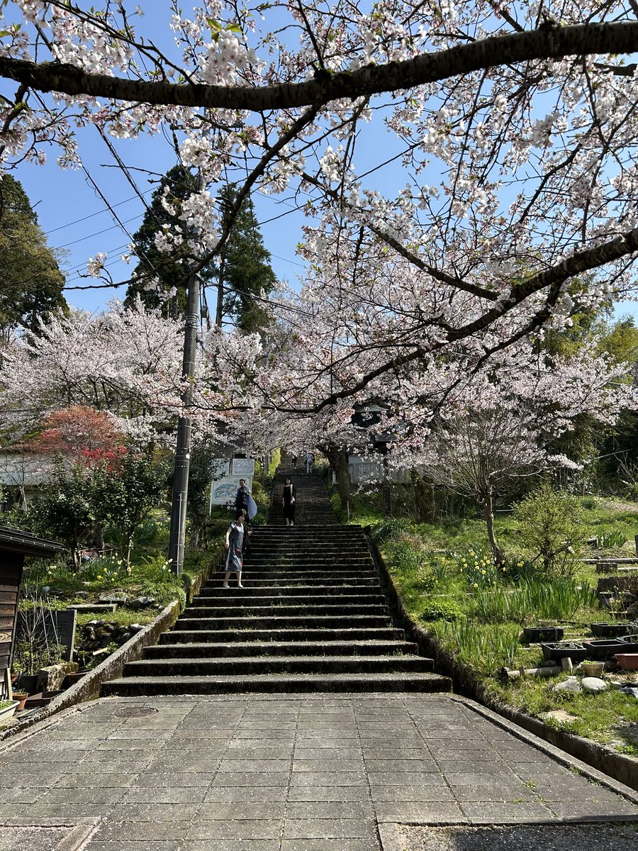sitabuti's tweet photo. 坂を登った先は桜の園。
by八尾町城が山 https://t.co/zBeBmg9Fud