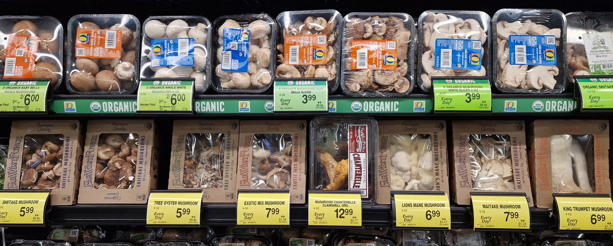 Love the choice of mushrooms in American supermarkets!