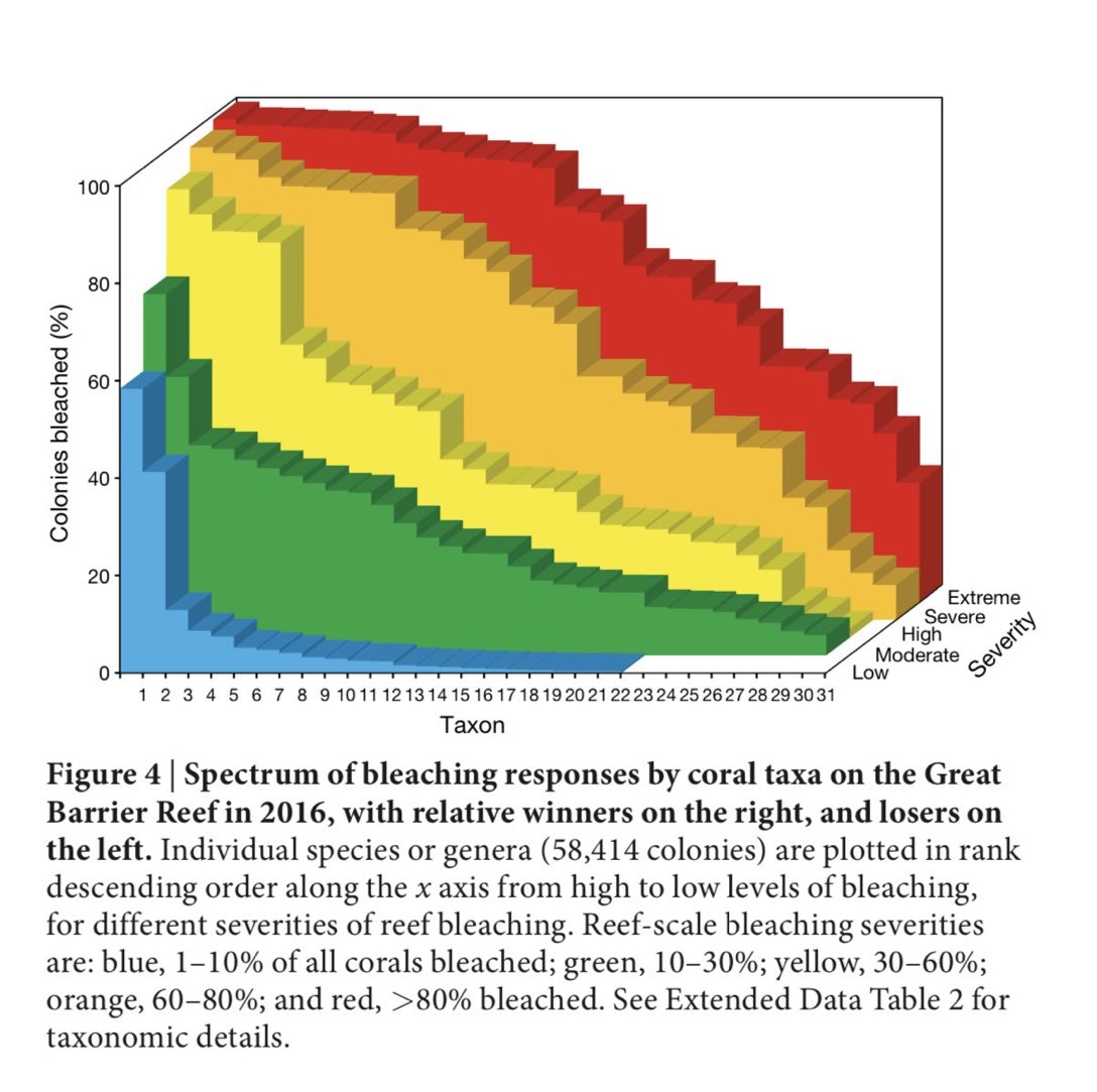 This year more than 60% of the vast Great Barrier Reef has experienced severe (orange) or extreme levels (red) of mass coral bleaching. Every type of coral has been affected. Because there are no “winners” in a warmer ocean, only comparative losers. nature.com/articles/s4158…