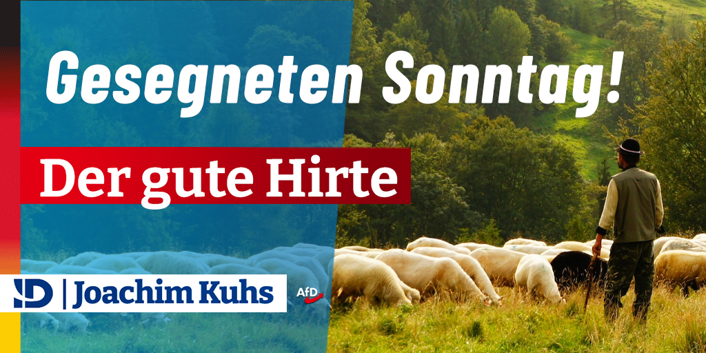 Gesegneten Sonntag: Der gute Hirte #idgroup An diesem Sonntag steht das Bild des guten Hirten im Mittelpunkt. Es stammt von Jesus selbst. 'Ich bin der gute Hirte. Der gute Hirte lässt sein Leben für die Schafe. Der Mietling, der nicht Hirte ist, dem die Schafe nicht gehören,…