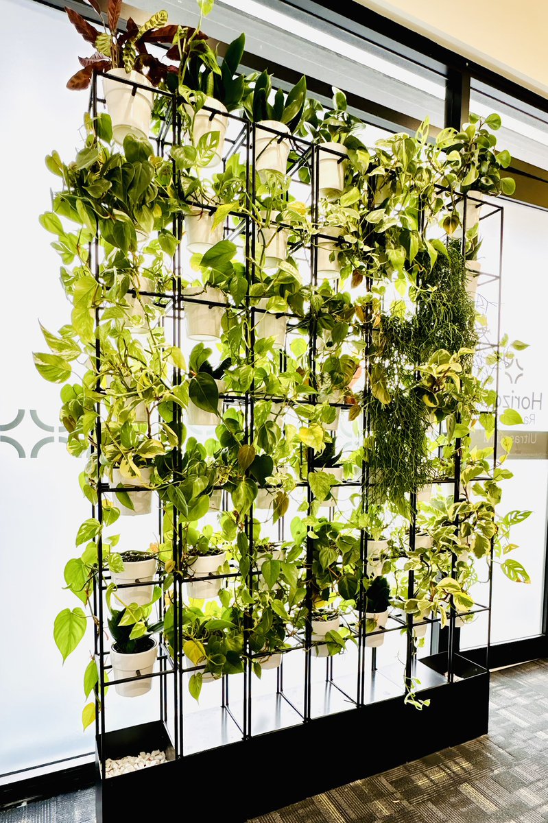 xitscmygx's tweet image. 🌳🌍Nature&apos;s beauty knows no borders, yet war ravages lands and hearts. As Iran &amp;amp; Israel clash, let&apos;s remember the grass that suffers when the elephants fight. #PeaceForIranAndIsrael 🕊️🌿 #NatureAndHumanity #NoMoreWar