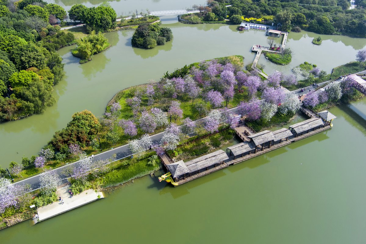 The 135th session of the Canton Fair will open on April 15. During the fair, Haizhu Wetland plans to open a sightseeing bus route between the Canton Fair Complex and the wetland. This shuttle bus will allow you to experience the vitality of Guangzhou's natural scenery.