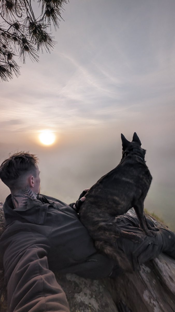 Jordan Cadiot tweet media