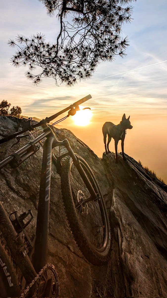 Jordan Cadiot tweet media