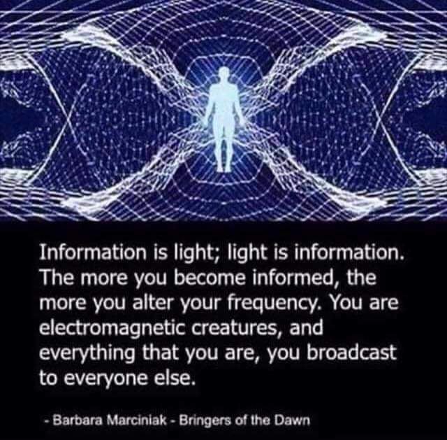 Sunita_Says_'s tweet photo. To be Informed is to be Empowered.. The More YOU become informed, the More You alter Your Frequency...!!! 
#BringersOfTheDawn #JoyTrain 
#BarbaraMarciniak #Information 
#BeInformed #sprituality #quantumquotes #meditation  #ThinkBIGSundayWithMarsha https://t.co/vV7BlJZ0Zn