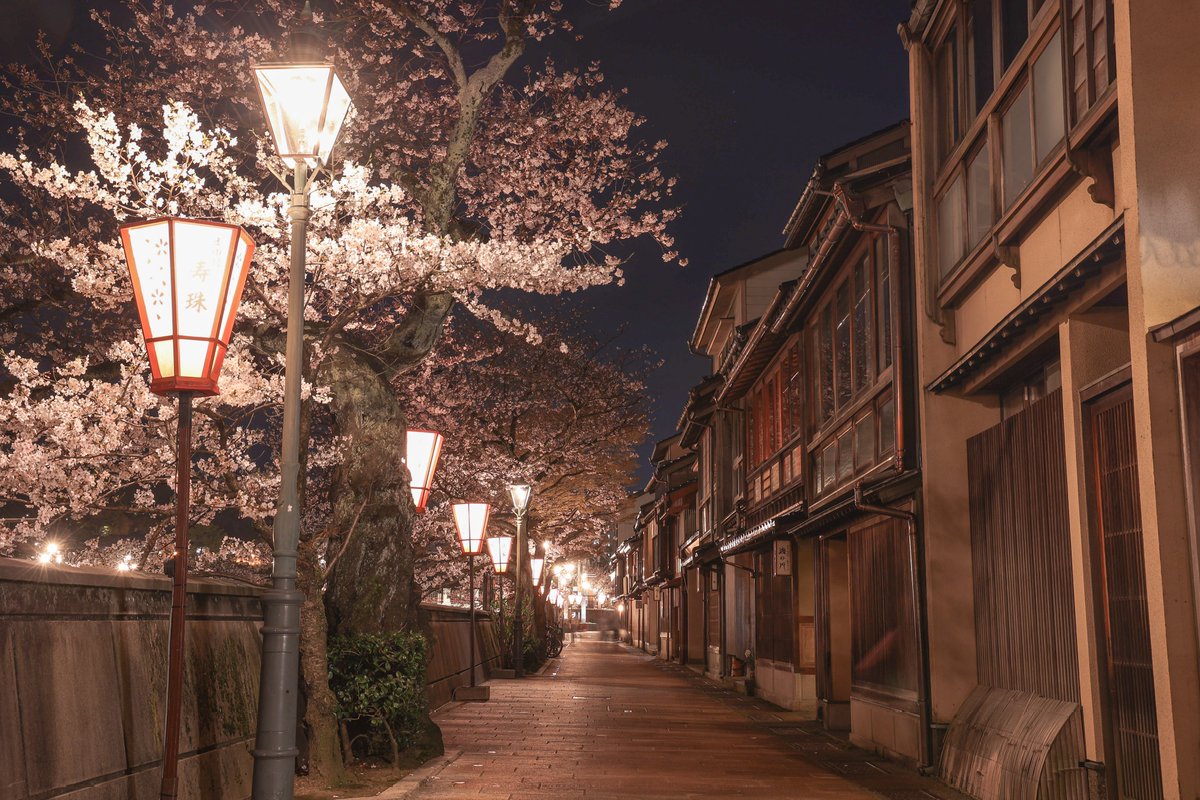 taku_koushien's tweet photo. 夜の主計町茶屋街と桜

#石川県 #金沢市 #金沢 
#夜景 #主計町 #桜 #桜2024 
#春2024 #額装のない写真展
#東京カメラ部 #tokyocameraclub
#キリトリセカイ #主計町茶屋街
#カメラ好きな人と繋がりたい 
#写真好きな人と繋がりたい 
#キヤノン党でほめあいたい https://t.co/IHmm0EgBrh
