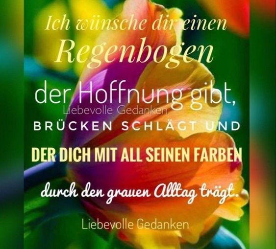 Schönen guten Morgen meine Lieben, verbringt den Sonntag so angenehm wie möglich 😊♥️☕️