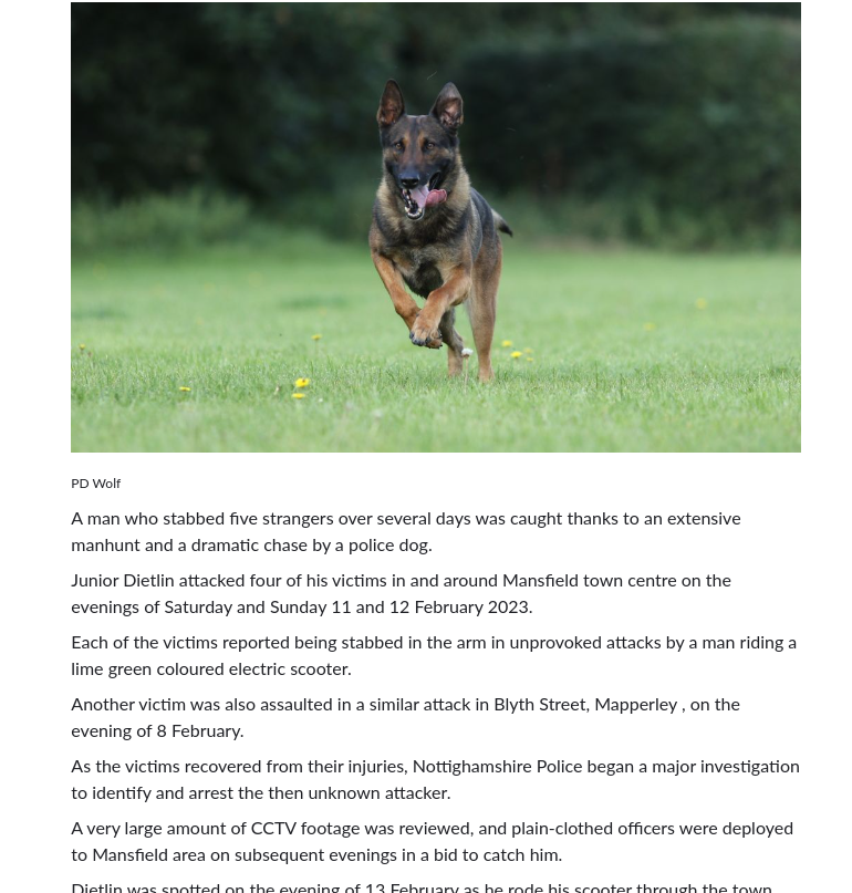 Knife attacker dragged off scooter by PD Wolf 💙  A very good boy 🥰 #Landshark    
nottinghamshire.police.uk/news/nottingha…