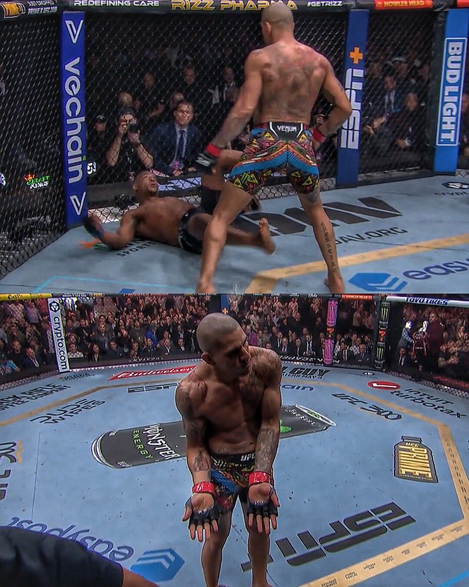 Fighters Magazine tweet media