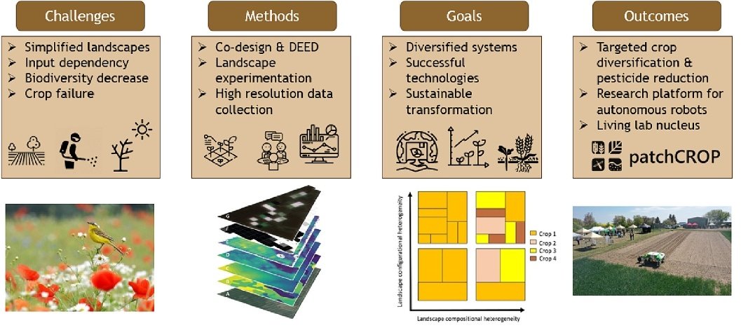 📢 finally out 'Co-designing a landscape experiment to investigate diversified cropping systems' in Agricultural Systems. We describe how a landscape experiment can be co-designed to study and understand the impacts of diversification practices. sciencedirect.com/science/articl…