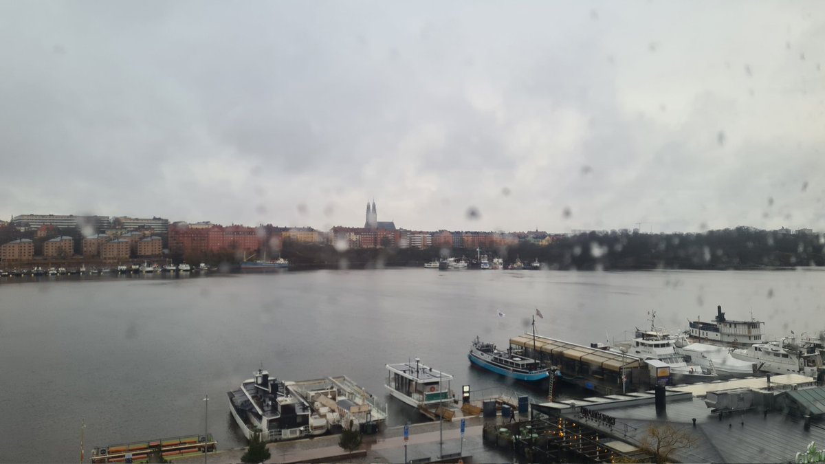 Birgitta Jonsson tweet media