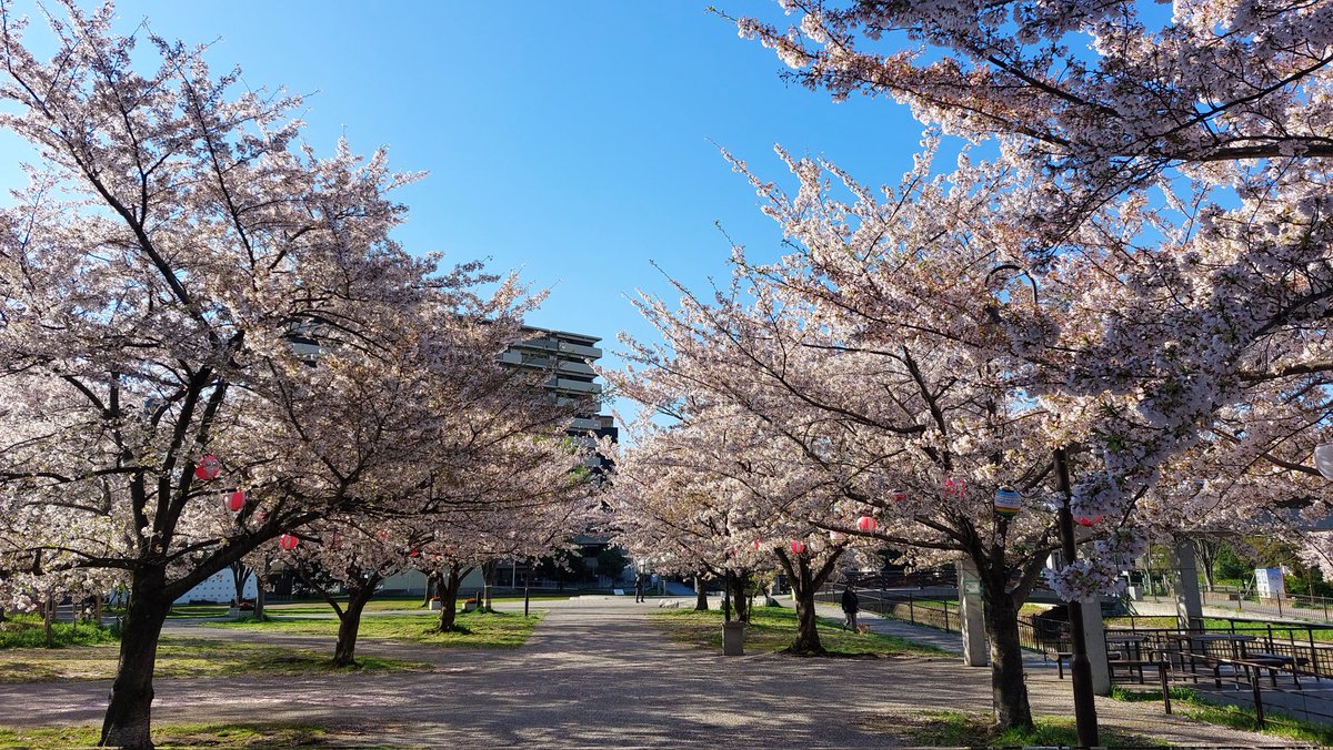 masunao70 tweet picture