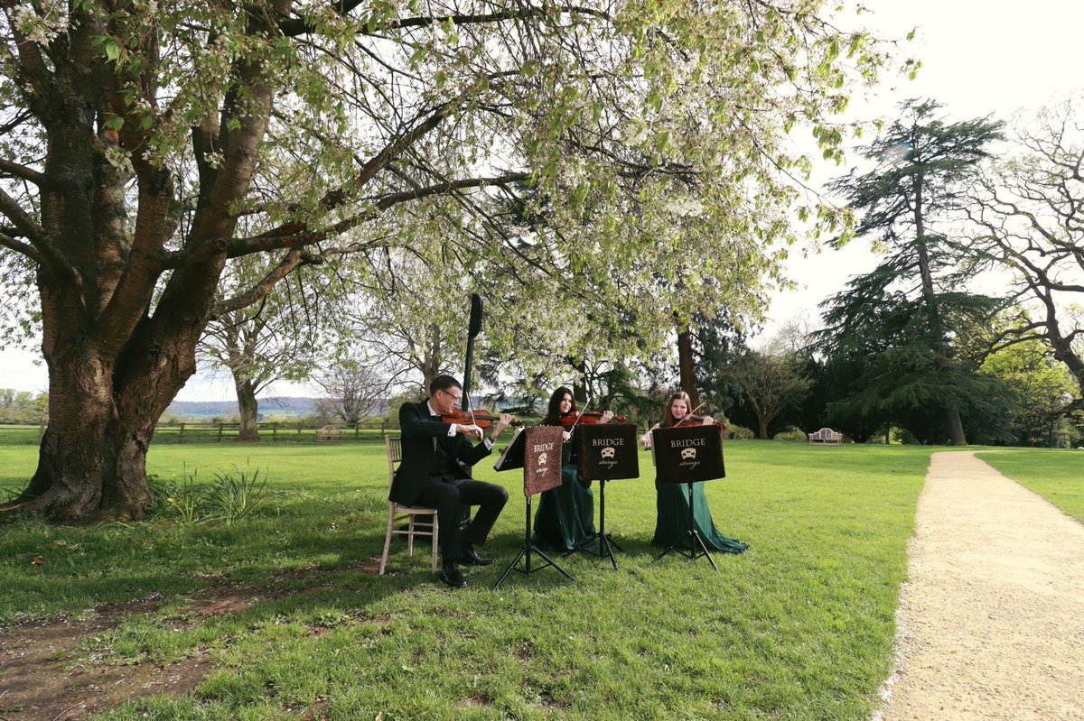 BridgeStrings's tweet photo. Beautiful wedding drinks reception at @eastingtonpark ✨
We loved performing for Chelsea &amp; Toby’s beautiful wedding on Saturday.
#bridgestrings #weddingstrings #eastingtonpark #gloucestershirewedding #weddingday #weddingmusic #violin #weddingviolinist #luxurystrings https://t.co/e7dpKghOTA