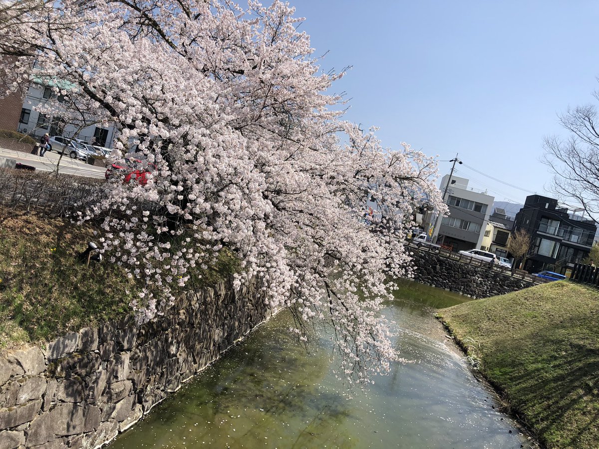 loudness222's tweet photo. 松本城

桜満開　すごく綺麗。 https://t.co/awkEQ9UB6C