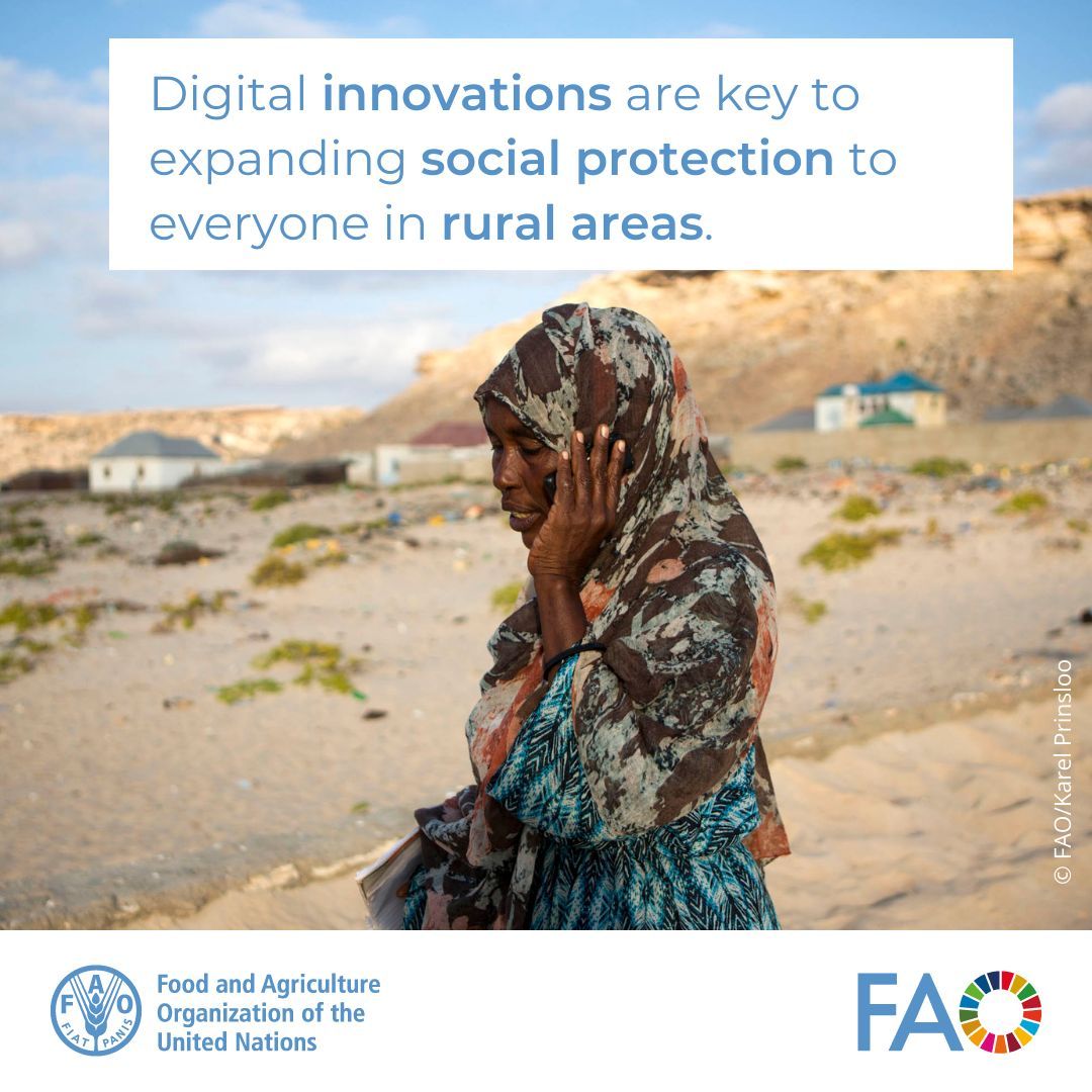 FAOInnovation's tweet photo. Digital innovations are 🔑 to extending #SocialProtection in rural areas, especially among women.

⚠️But they can also ⬆️ inequalities &amp; exclusion.

Innovations have to respond to the needs of those they aim to support.

Find out policy recommendations 
👉https://t.co/Nr5QqqEVTY https://t.co/ljMIsnyYHL