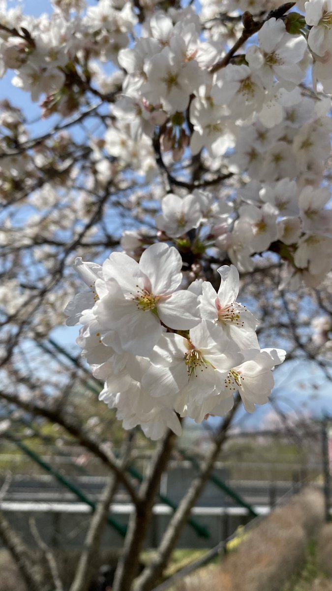 平尾山公園すげぇ久しぶりに来た
エスカレーター相変わらず具合悪くなる角度…懐かしい…