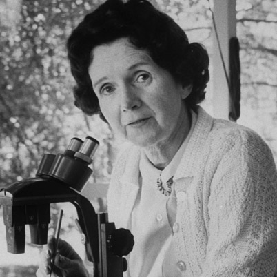 #TalDíaComoHoy nos dejaba Rachel Louise Carson. Bióloga marina y conservacionista que, a través de la publicación de Primavera silenciosa en 1962 (investigación sobre el uso desmedido de pesticidas) y otros escritos, contribuyó a la puesta en marcha del ecologismo contemporáneo.