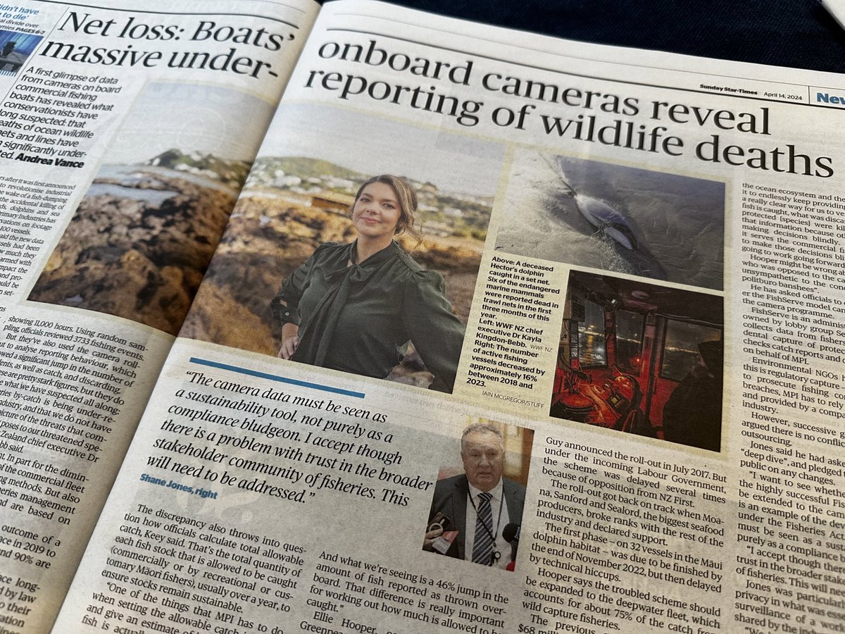 Kayla Kingdon-Bebb (@kaylakingdon) on Twitter photo Thereās a wonderful piece by @avancenz in todayās Sunday Star Times⦠In which our Minister of Oceans and Fisheries refers to conservation groups in Aotearoa as āgreen politburo banshees.ā Cool. Very mature.
Chief Banshee here, reporting for duty š«”
#nzpol <a href="/WWFNewZealand/">WWF New Zealand</a> Thereās a wonderful piece by @avancenz in todayās Sunday Star Times⦠In which our Minister of Oceans and Fisheries refers to conservation groups in Aotearoa as āgreen politburo banshees.ā Cool. Very mature.
Chief Banshee here, reporting for duty š«”
#nzpol <a href="/WWFNewZealand/">WWF New Zealand</a>