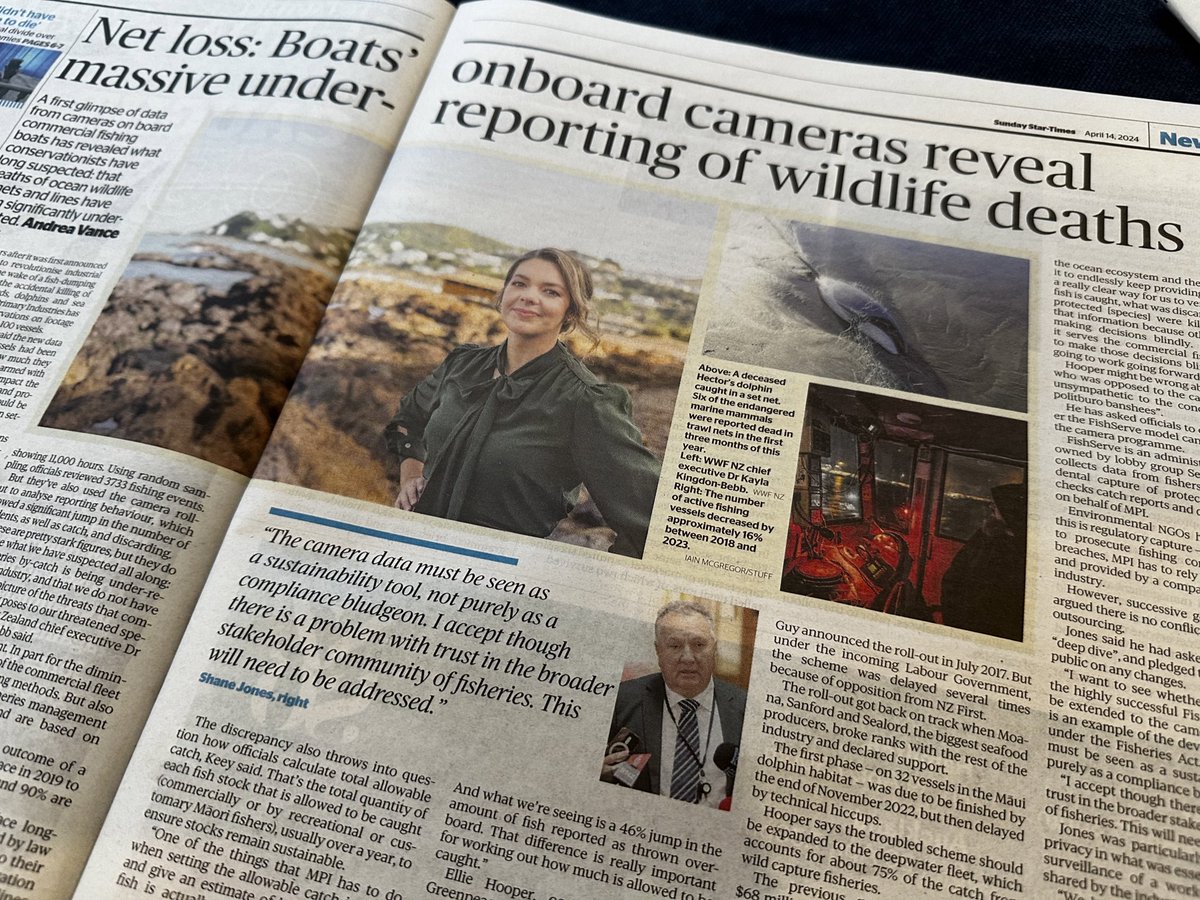 There’s a wonderful piece by @avancenz in today’s Sunday Star Times… In which our Minister of Oceans and Fisheries refers to conservation groups in Aotearoa as “green politburo banshees.” Cool. Very mature. Chief Banshee here, reporting for duty 🫡 #nzpol @WWFNewZealand