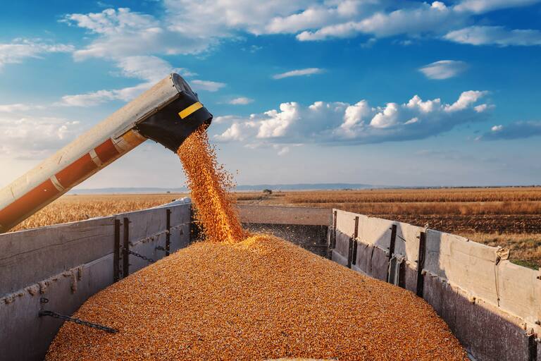 LNcampo's tweet photo. Opinión: el posible plan para bajar retenciones, cosechar 30 millones de toneladas más y tener US$10.000 millones extra https://t.co/meu63PXDgG https://t.co/Bk4t5h7yR8
