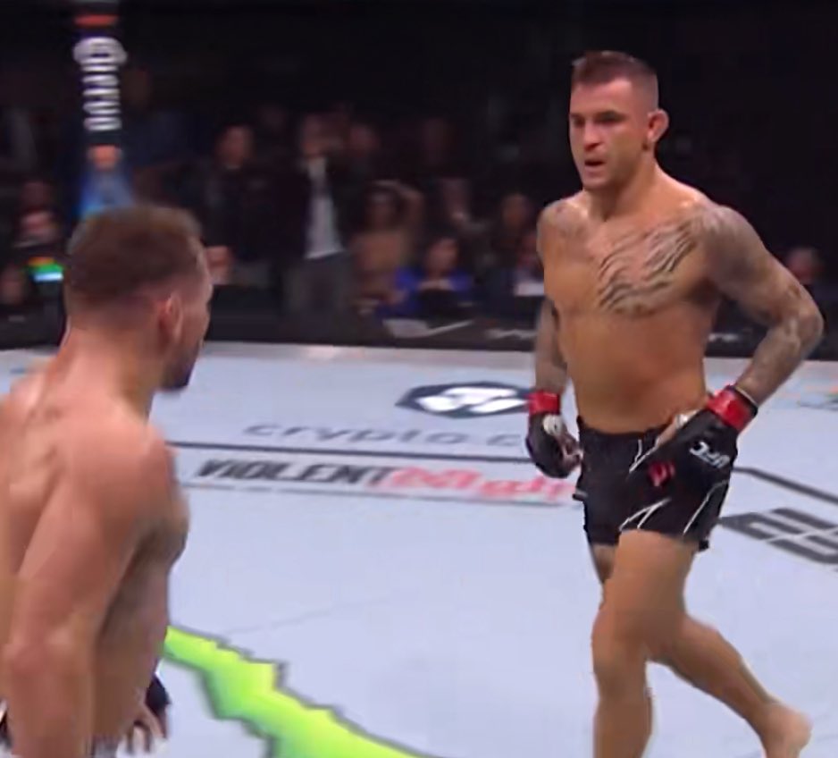 LittleSesame tweet media