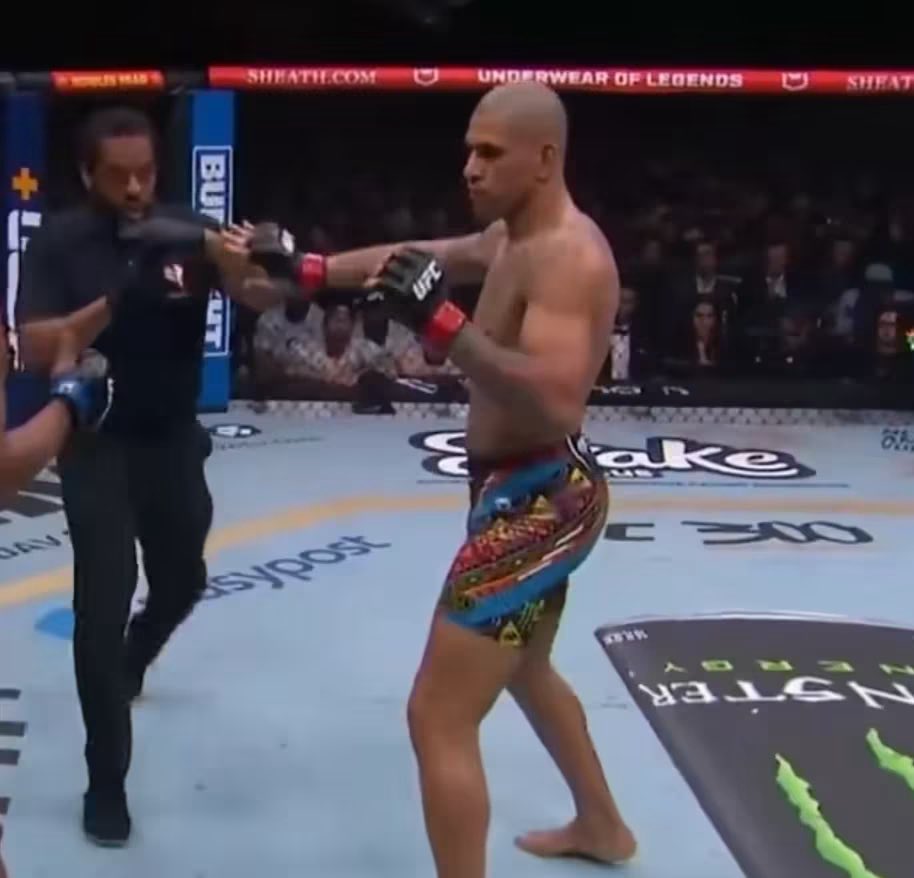 LittleSesame tweet media