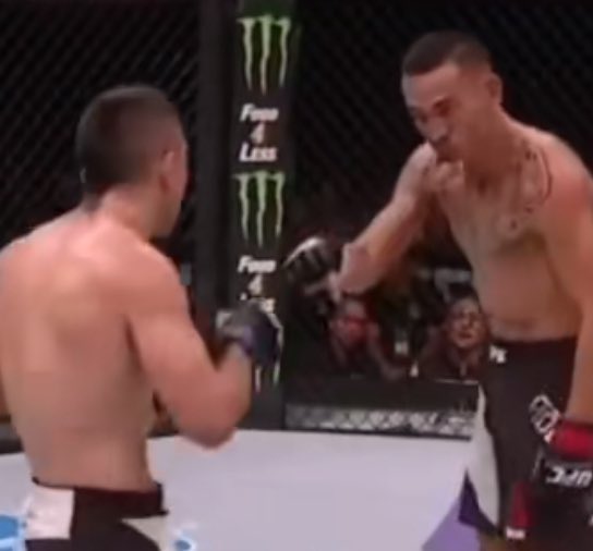 LittleSesame tweet media