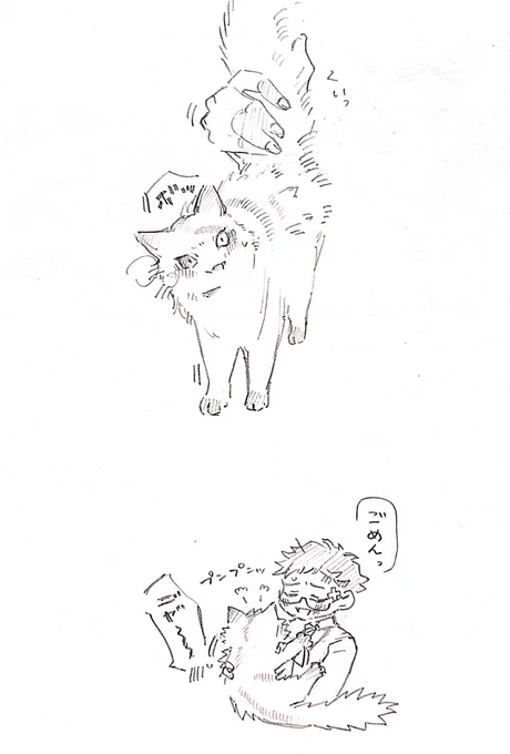 猫ちゃん♡ 