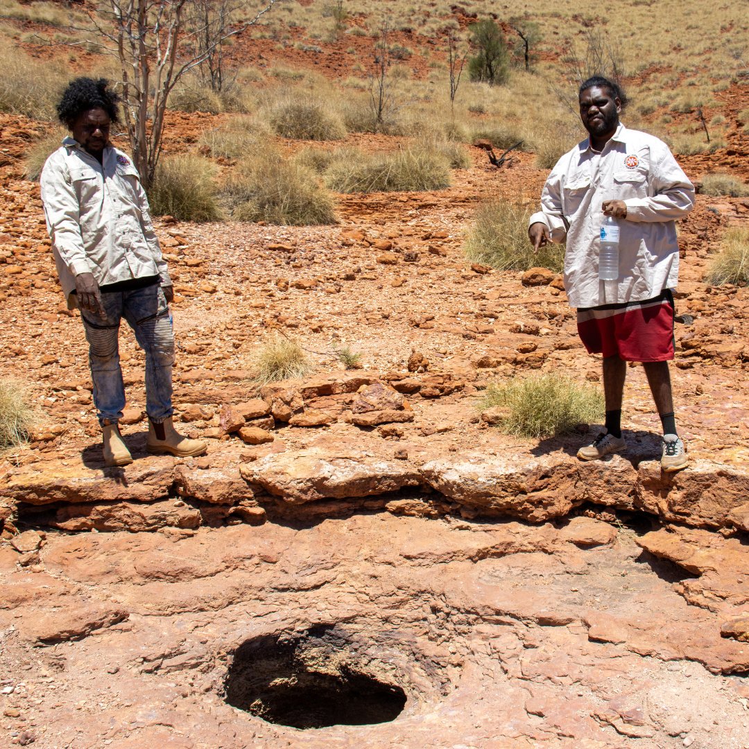 #KJMartuRangers protect water sources, which are significant to #MartuCulture + #DesertWildlife. They're tackling problems caused by feral camels, which erode + foul the water. Their work ensures these important landmarks are preserved for future generations. #CaringForCountry