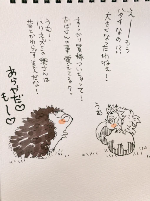 昼休みアナログ
こどもの頃近所に住んでた🦔の奥さんに偶然出会って貫禄ついたって言ってもらえた🔥ヘラさん。 