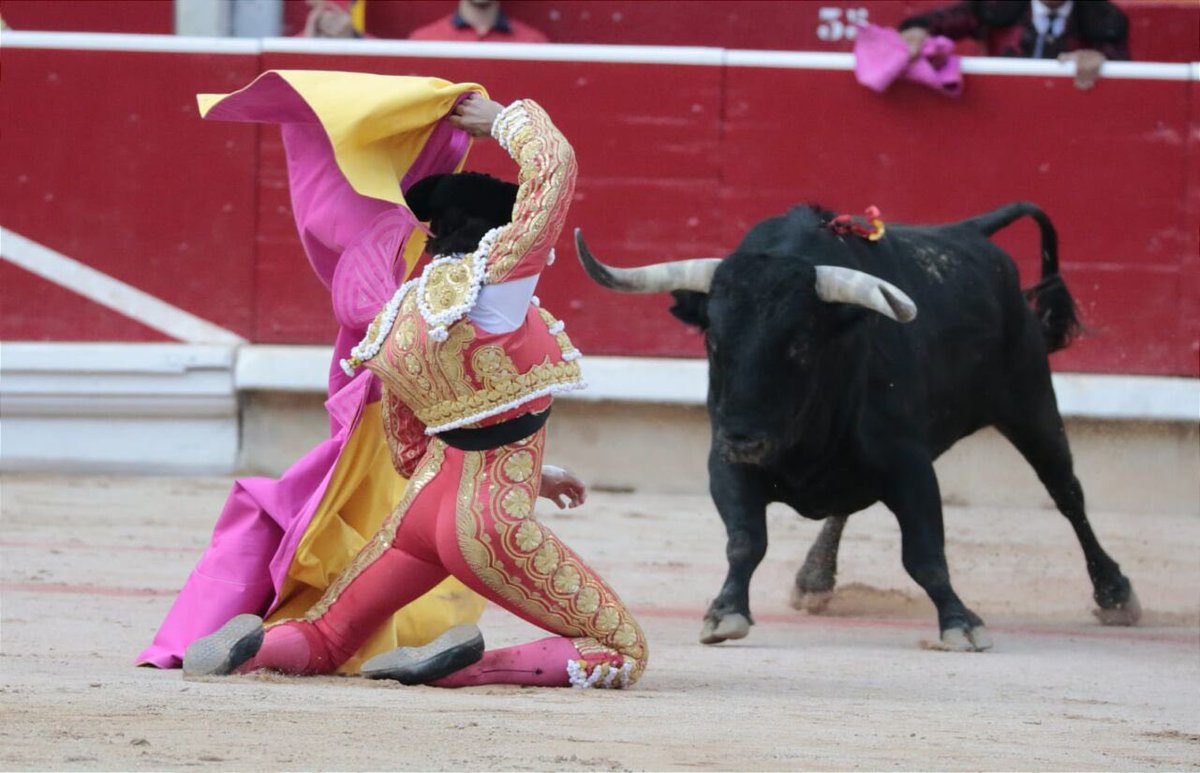 Los chavales vuelven a los toros. Hoy en @elespanolcom explicó porque. elespanol.com/opinion/column…