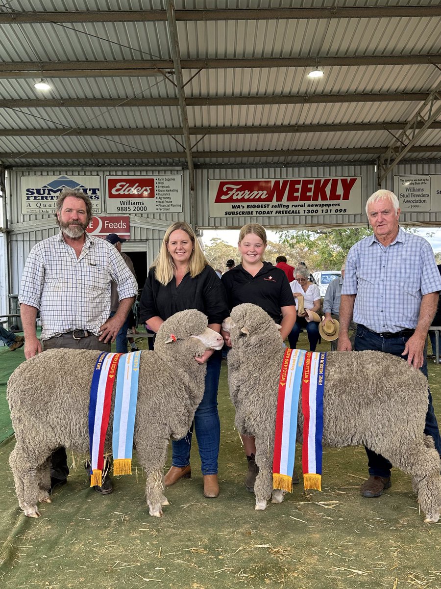 merino_wa's tweet photo. #williams Gateway Expo ๐ ๐๐
#Supreme of Show
Poll Ram, #Kolindale Stud, Dudinin @luke_ledwith
Grand Champ Ewe of Show
Poll, #Wililoo Stud, Woodanilling
Grand Champ Mo Ram
#AuburnValley Stud, Williams
Grand Champ Mo Ewe
#Rangeview Stud, Darkan @jeremyk96376987 https://t.co/w7AvKt2UIs