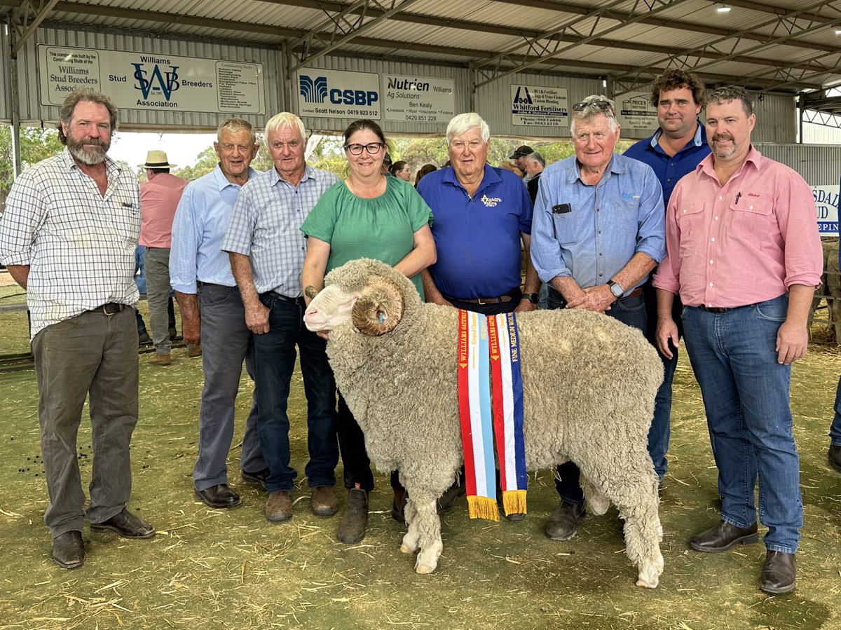 merino_wa's tweet photo. #williams Gateway Expo ๐ ๐๐
#Supreme of Show
Poll Ram, #Kolindale Stud, Dudinin @luke_ledwith
Grand Champ Ewe of Show
Poll, #Wililoo Stud, Woodanilling
Grand Champ Mo Ram
#AuburnValley Stud, Williams
Grand Champ Mo Ewe
#Rangeview Stud, Darkan @jeremyk96376987 https://t.co/w7AvKt2UIs