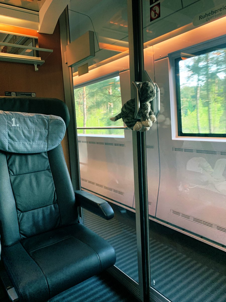 rail_rocker's tweet photo. Werd auch du Portier (m/w/d/katze) im ICE! https://t.co/8w9Vl6oV74