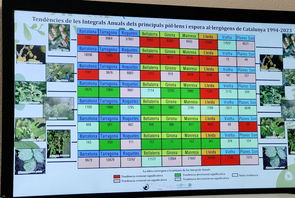 Sofia Carreras Kàtcheff tweet media