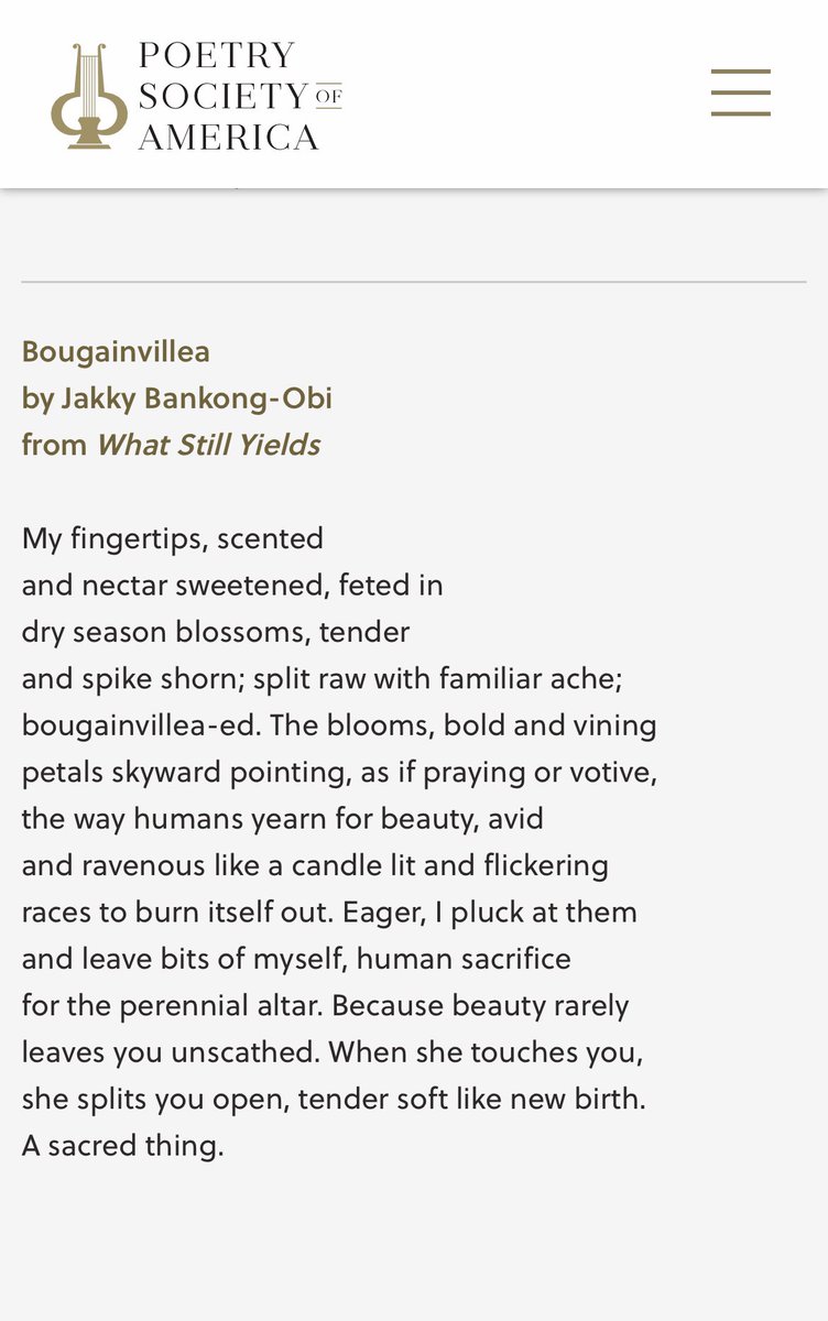 Jakky Bankong-Obi is one fine writer. Jakky Bankong-Obi is one fine writer. Jakky Bankong-Obi is one fine writer.