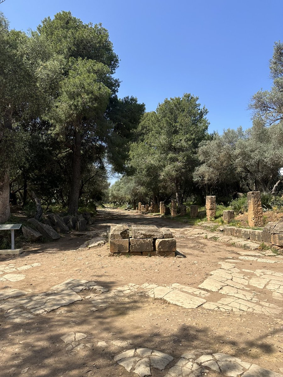 ElizabethAubin's tweet photo. All Roman roads led to #Icosium (#Algiers).  #Tipaza.  ❤️🇩🇿 https://t.co/y3qqnVdiof