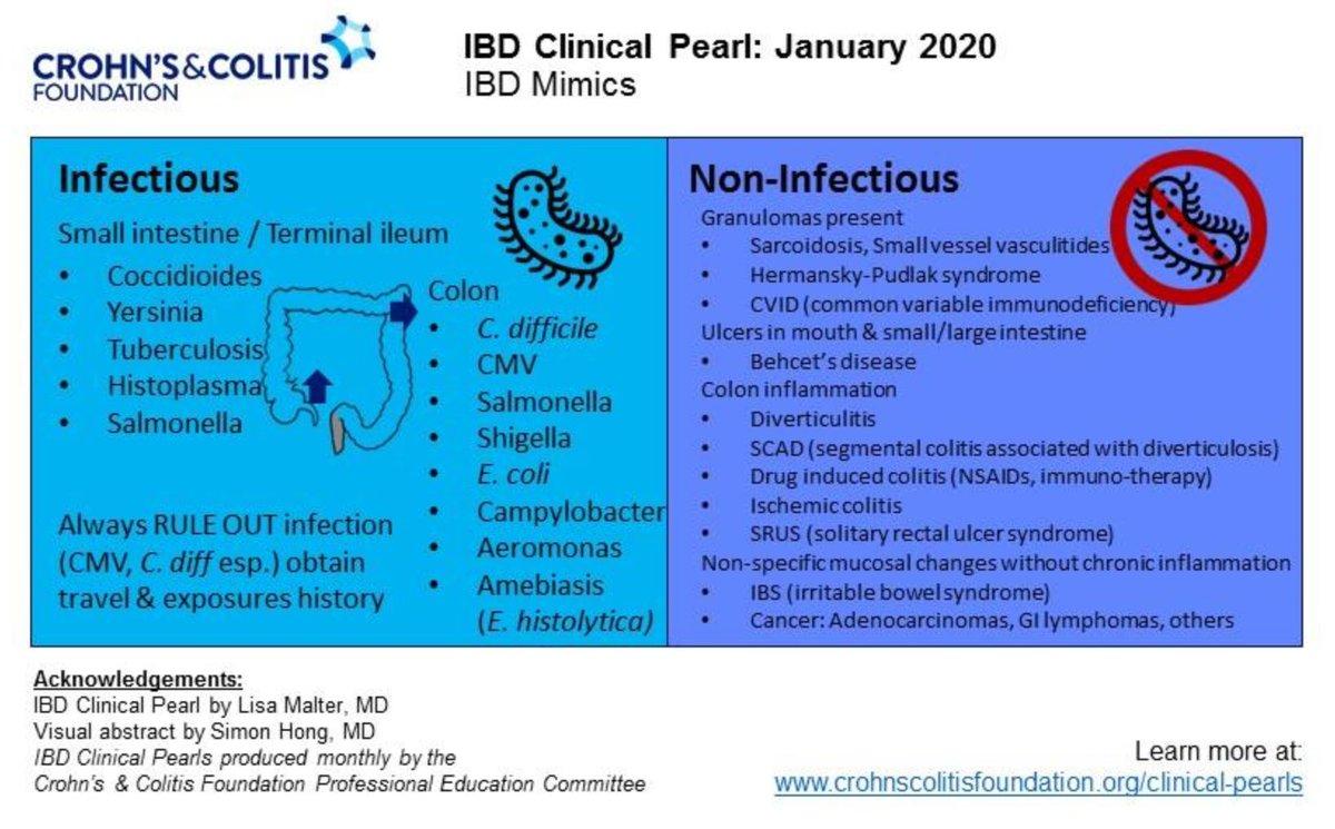 Yiyuan_Tan's tweet photo. Not all chronic colitis is IBD, and the importance of a good temporal history to correlate with imaging and histology cannot be overstated.

A quick refresher on IBD mimics, and flowchart of histological patterns of colitides!

#IBD #GITwitter #MedTwitter https://t.co/4ukQVg77h5