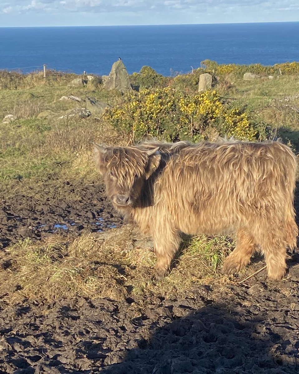 There's been a lot more rain since this picture was taken a couple of months ago. I suspect the weather will come up on #CountryMatters when I talk to reps from @CornwallNFU & #DevonNFU after 9.