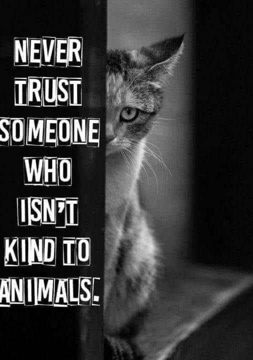 #AnimalsMatter #AnimalsArePureLove #ProtectAllAnimals #AdoptDontShop
