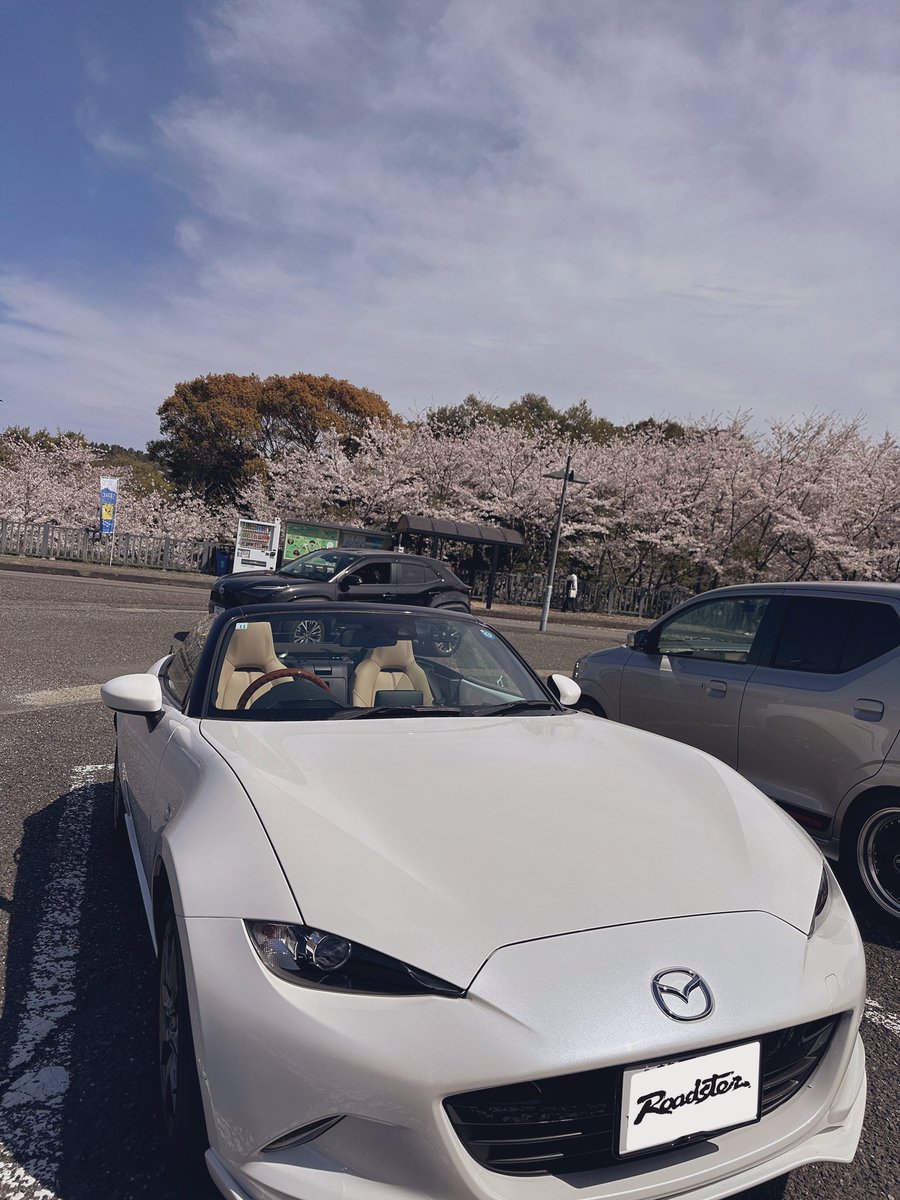 whitecarameltop's tweet photo. 久しぶりのドライブ！
日本平は混んでるから、舞台芸術公園がおススメです😊 https://t.co/Wt4ff32YzD