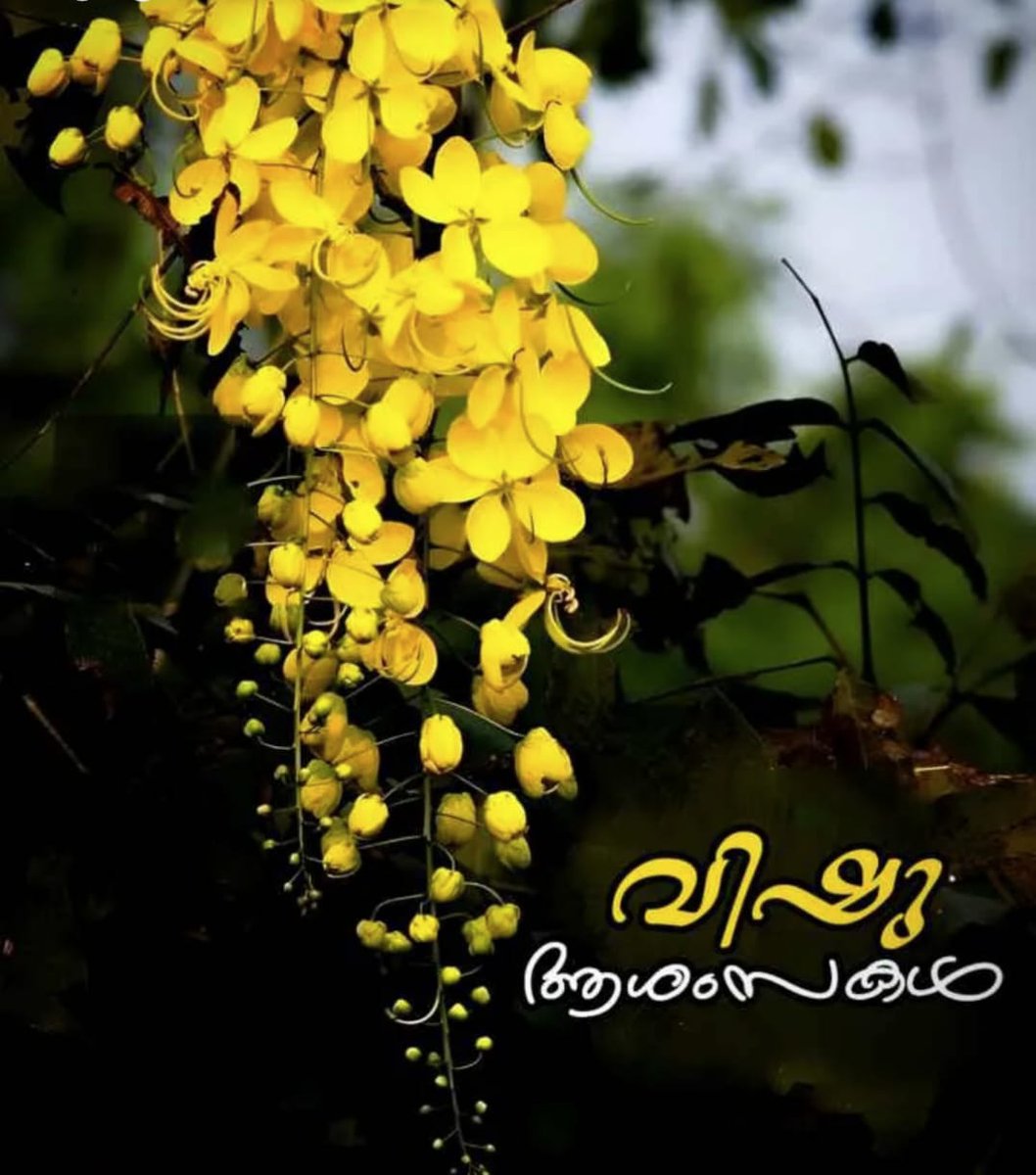 JISHNU MUSCAT😊 (@jishnu20561) on Twitter photo 