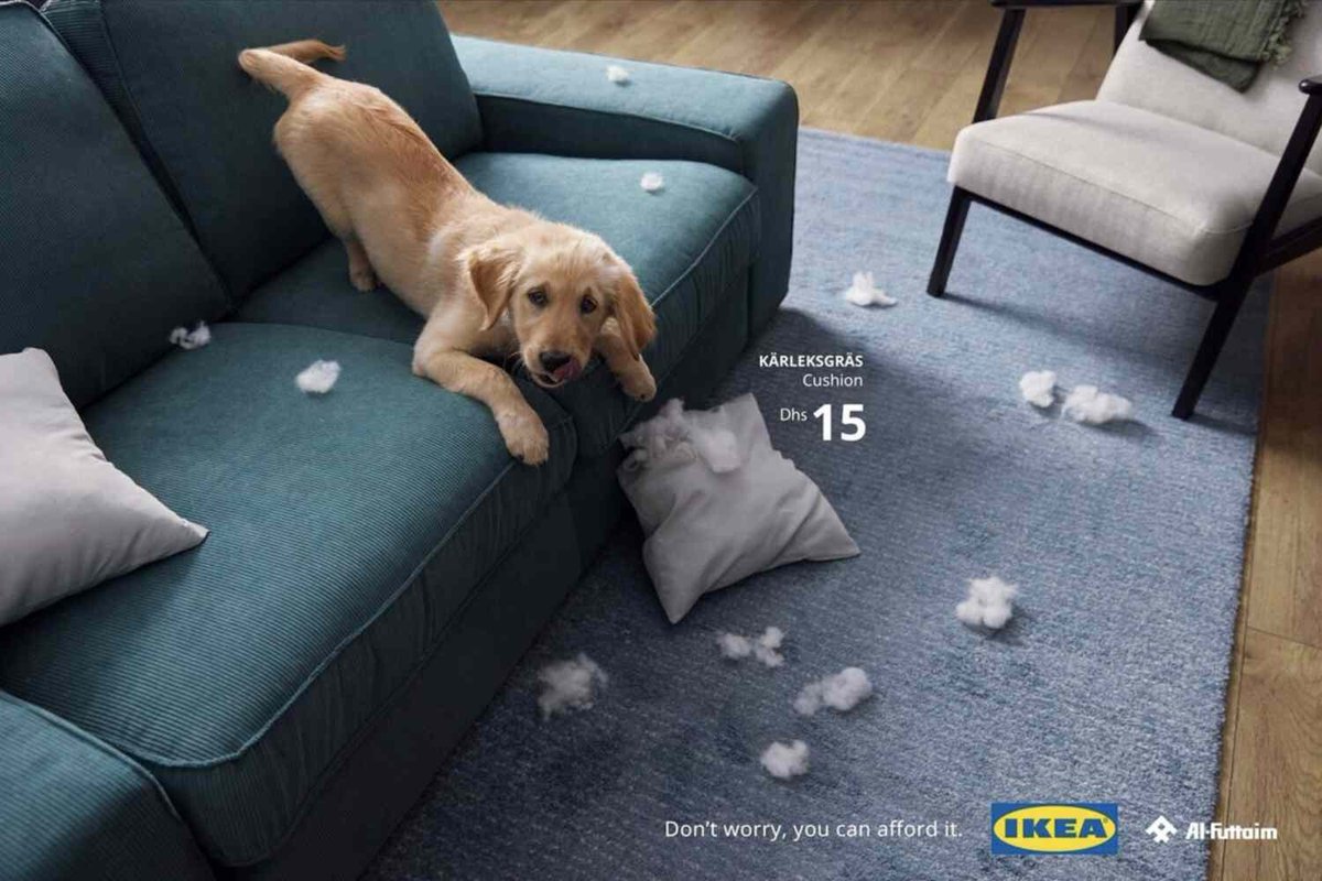 Love the playful pup & ripped @ikea pillow - totally gets your attention & makes the price point even cuter. #marketingtwitter ️dogwithblog.in/print-ads-feat… #Dogs