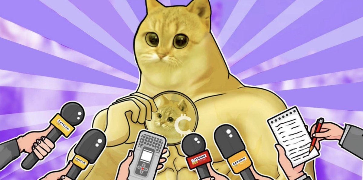 CatCoin tweet media