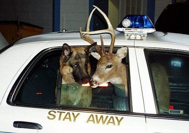 hater (@h4tesex) on Twitter photo 