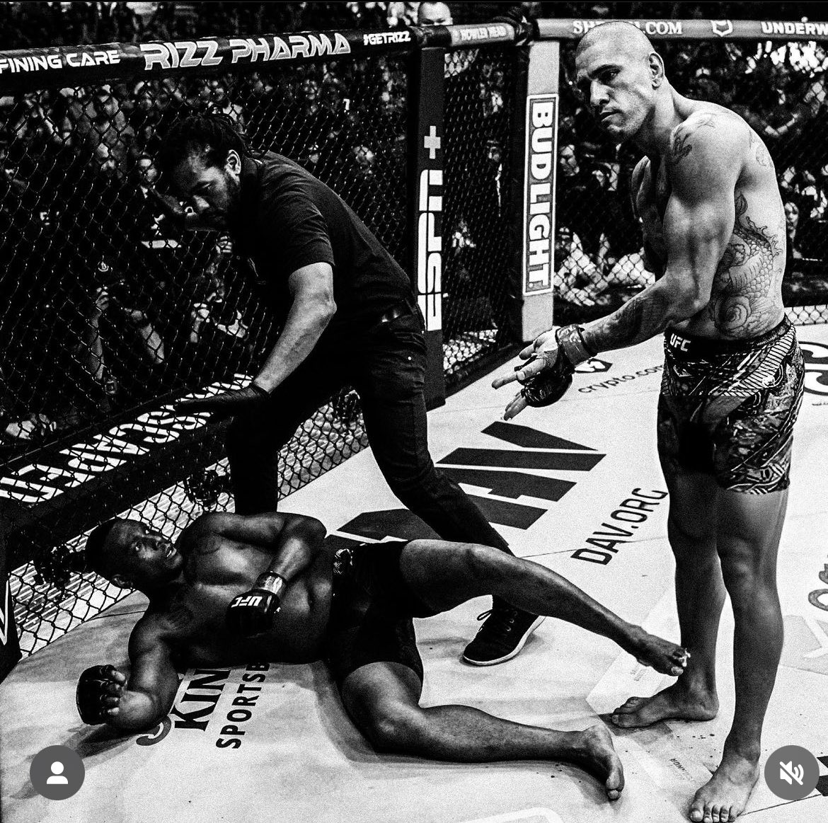 this picture goes so hard #UFC300